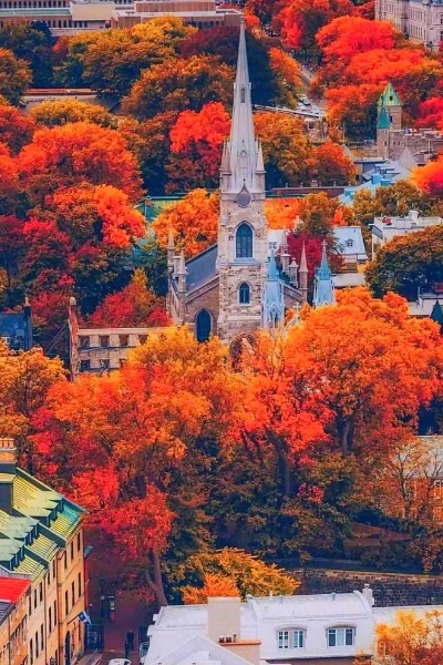 加拿大创新企业家移民(SUV)